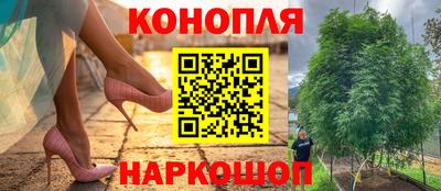 jwh Тулун