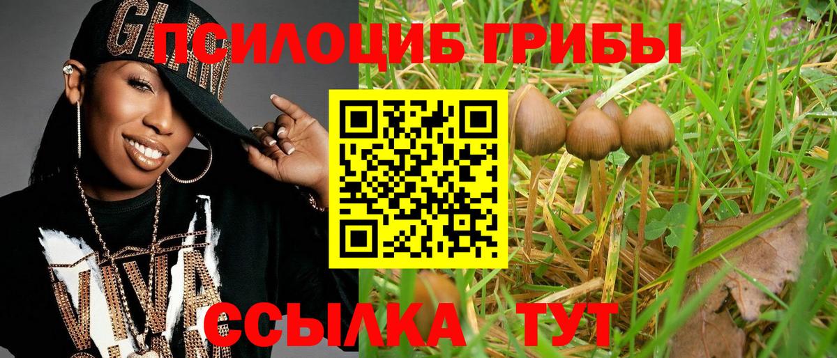 Галлюциногенные грибы Magic Shrooms  Вход с VPN  Минусинск  Псилоцибиновые грибы Psilocybe 